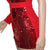 Sexy Sequin Party Nightclub Dress MALSOOA